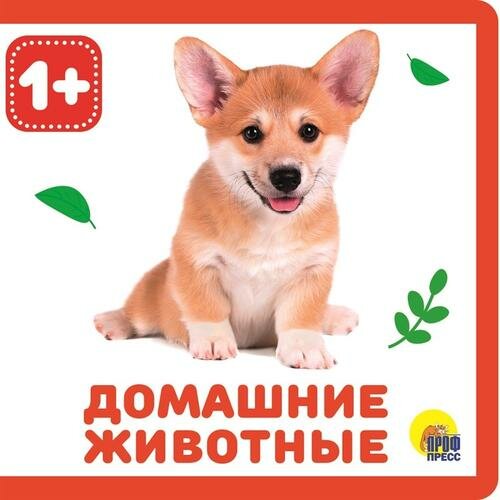КнижкиНаПене Домашние животные (от 1 года) (Проф-Пресс)
