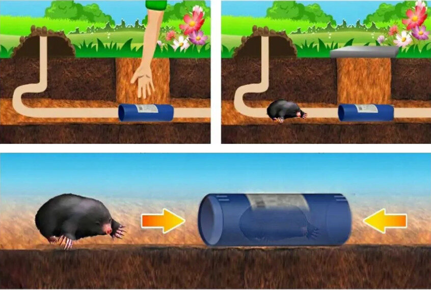 Ловушка для кротов и землероек кротоловка -труба "Рубеж" - 2 шт, 29х6 см - фотография № 3