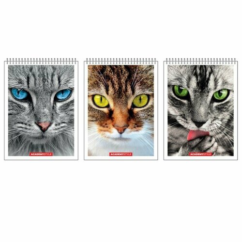 Блокнот А7 40 листов в клетку на гребне Кошки обложка картон ВД-лак микс12 шт 513₽