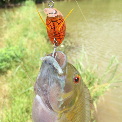 фото Воблер "майский жук" уловистая приманка на голавля и других видов рыб. чжучжоу