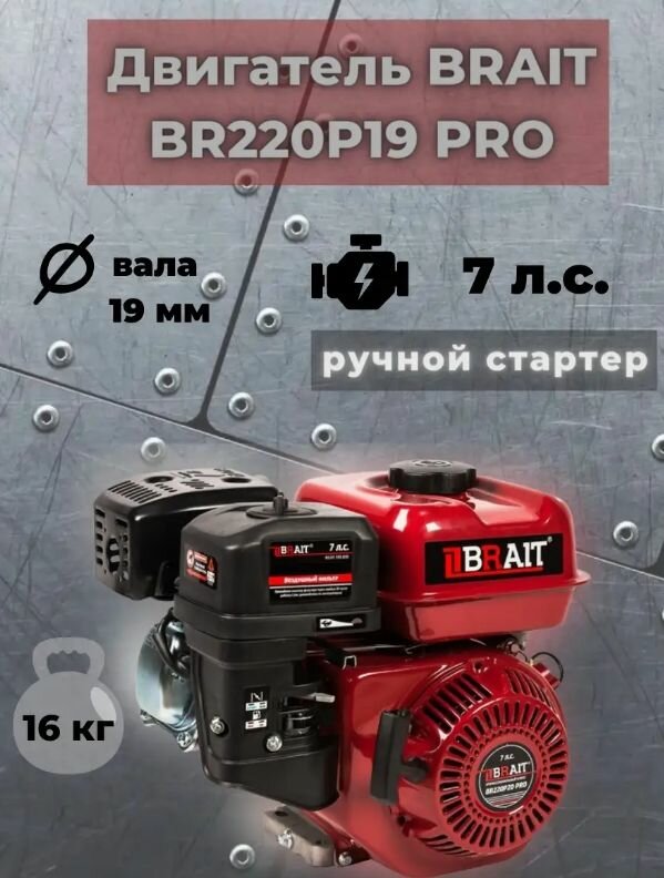 Двигатель BR220P19 PRO