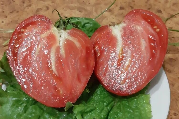 Коллекционные семена томата Джо бычье сердце розовое