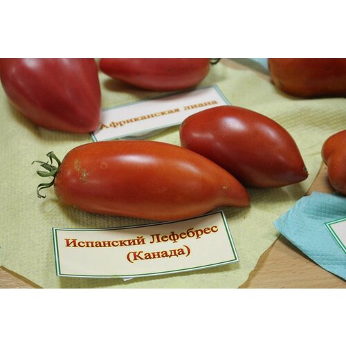 Коллекционные семена томата Испанский Лефебрес