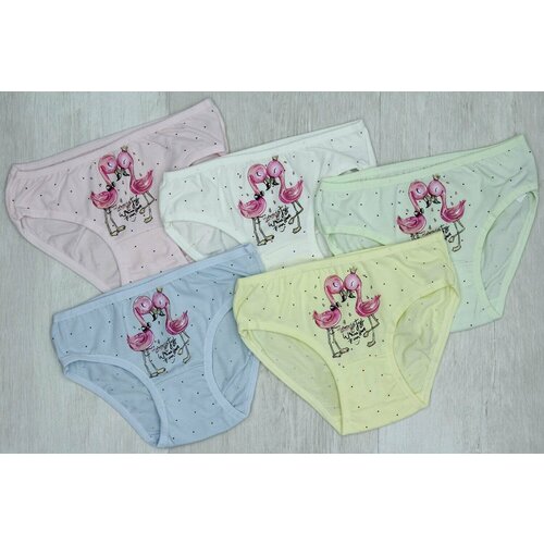 фото Трусы donella, размер 110-116, голубой, белый