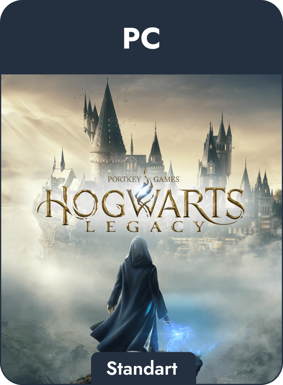 Игра Hogwarts Legacy Standard Edition для PC, активация Steam, электронный ключ