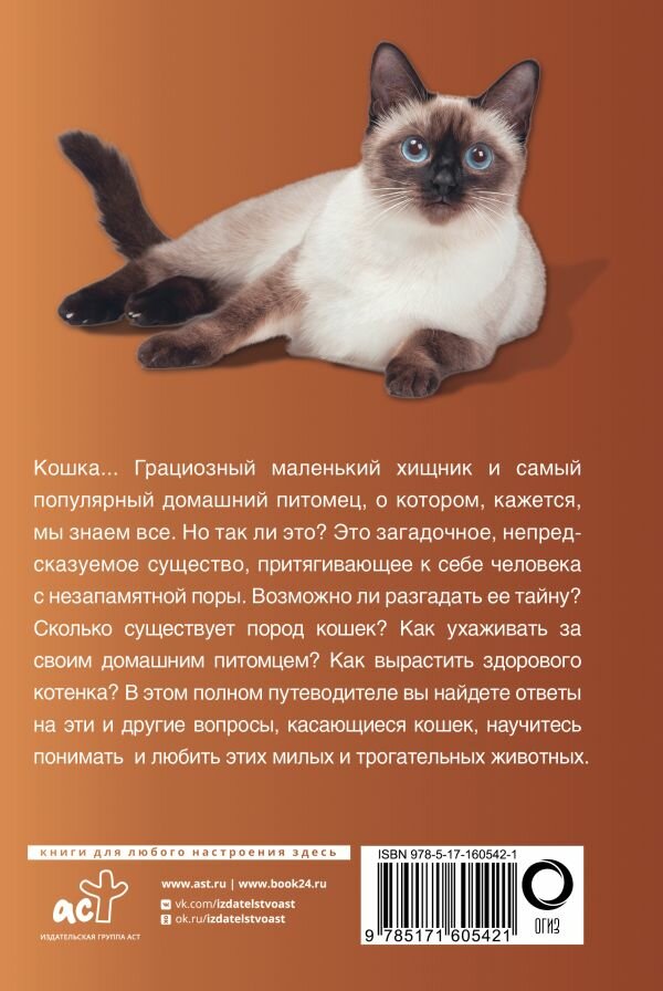 Кошки (Непомнящий Николай Николаевич) - фото №3