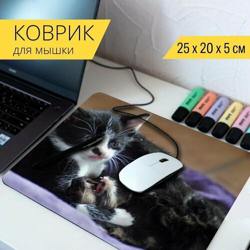 Коврик для мыши с принтом Кошки, котята, домашние питомцы 25x20см.