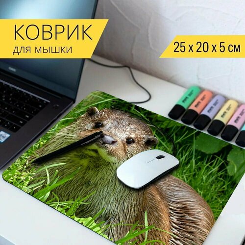 Коврик для мыши с принтом Выдра, лутра, животное 25x20см. животное выдра