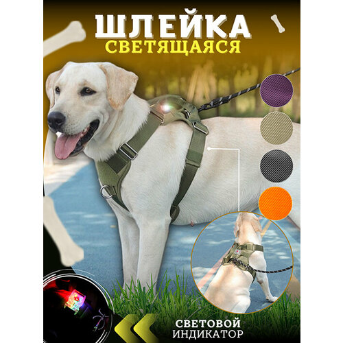 Шлейка для собак