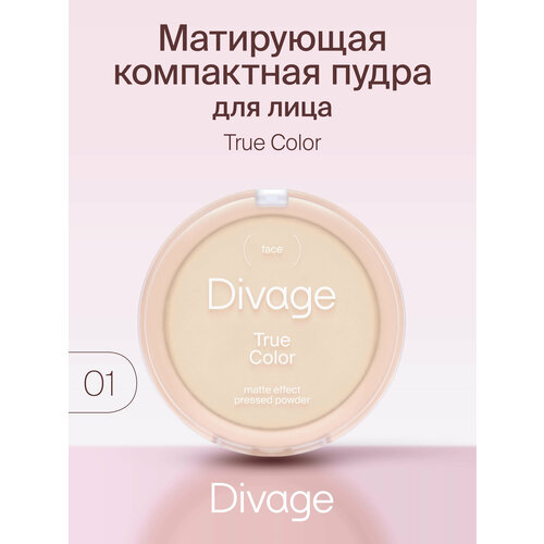 DIVAGE Пудра компактная True color 1 шт. 01 fair 9 г