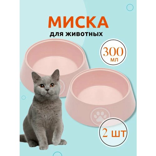 Миска для кошек Лекси 0.3 л, розовый, 2 шт