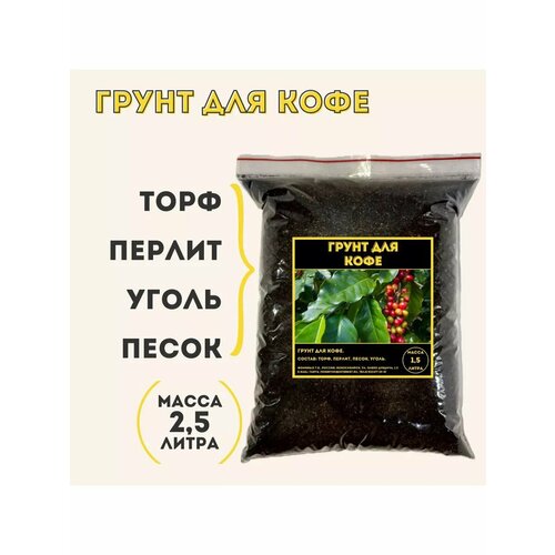 Грунт для кофейных деревьев