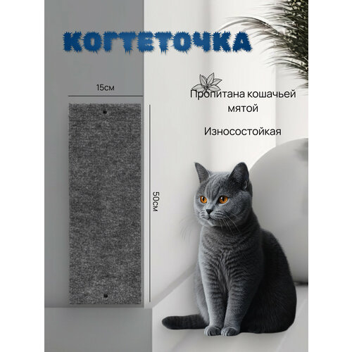 Когтеточка настенная Take Easy, для кошек, ковролин/фанера, 50x15см