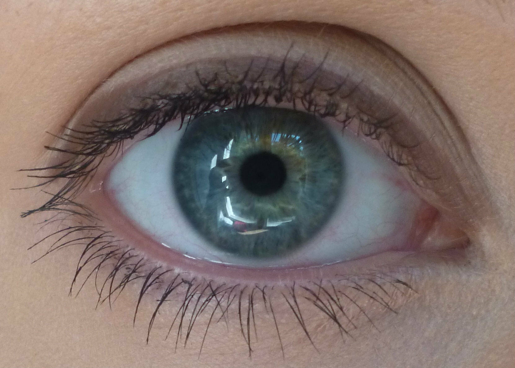 El Corazon Карандаш для глаз №118 Chestnut — фото 1