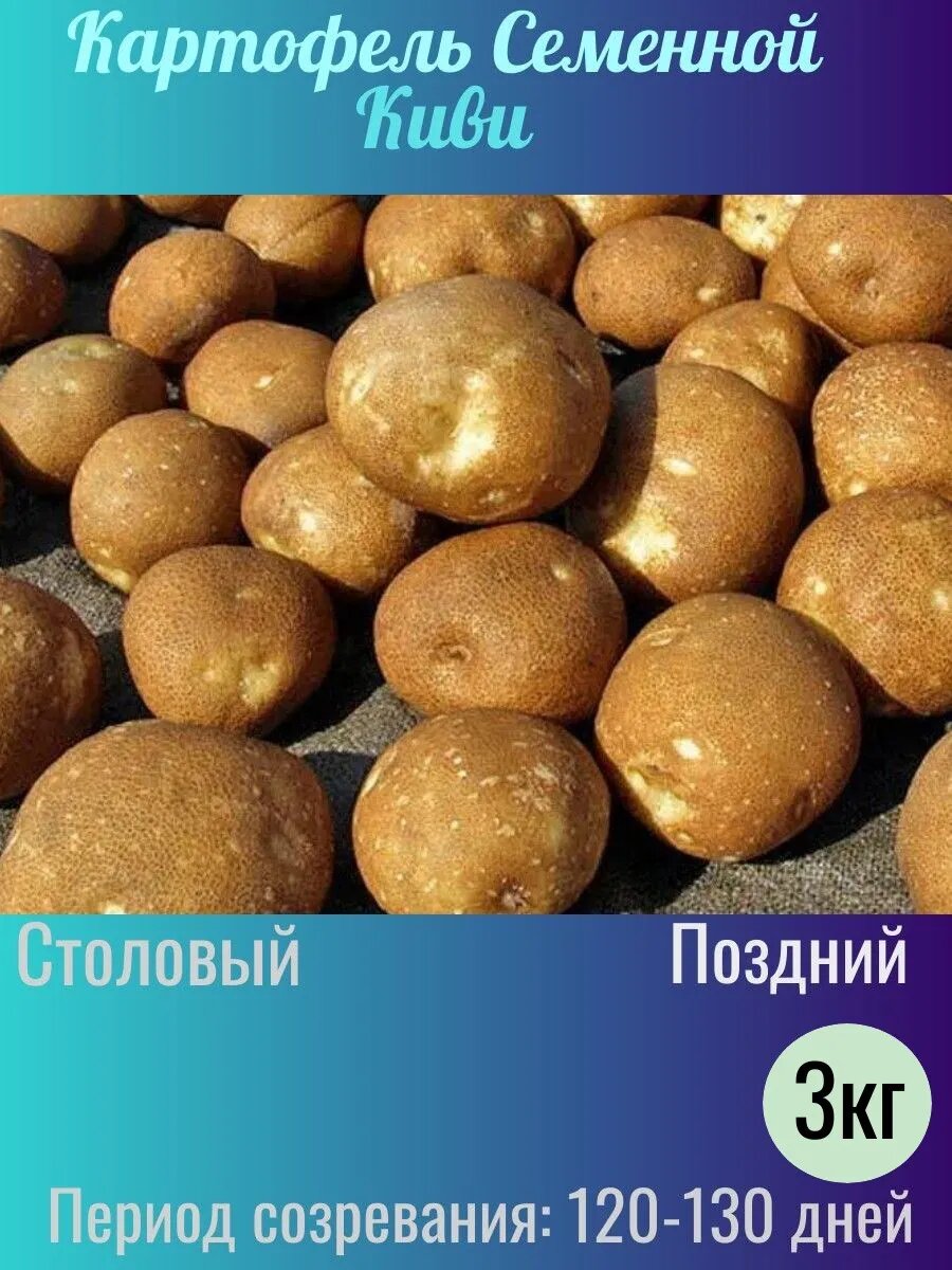 Картофель семенной 3 кг на посадку