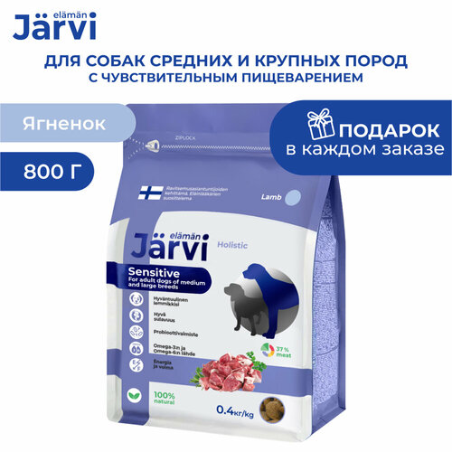 Jarvi сухой полнорационный корм для взрослых собак средних и крупных пород с чувств. пищеварением Ягненок, 400 г. упаковка 2 шт