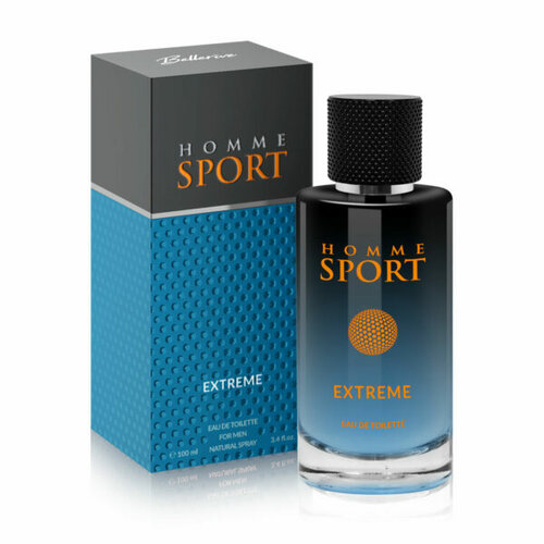 Купить Art Parfum Мужской Homme Sport Extreme Туалетная вода (edt) 100мл