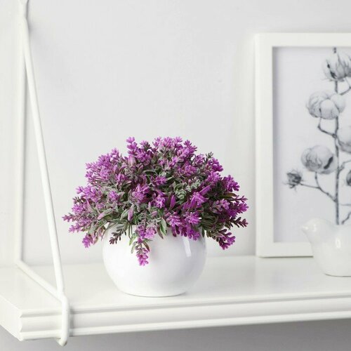 SUI Бонсай в горшке Лаванда декоративная 8х10 см микс 842₽