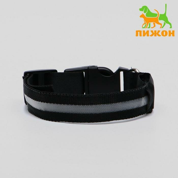 фото Ошейник с подсветкой, S, 38-40 см, 3 режима свечения, чёрный