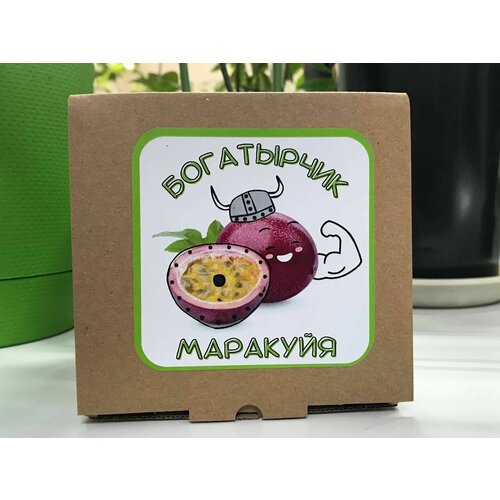 Маракуйя. Набор для выращивания растений Богатырчик Маракуйя финик набор для выращивания растений богатырчик финик