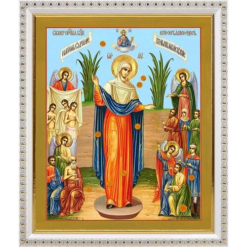Икона Божией Матери Всех скорбящих Радость с грошиками, в белой пластиковой рамке 20*23,5 см воскрешение лазаря икона в белой пластиковой рамке 20 23 5 см