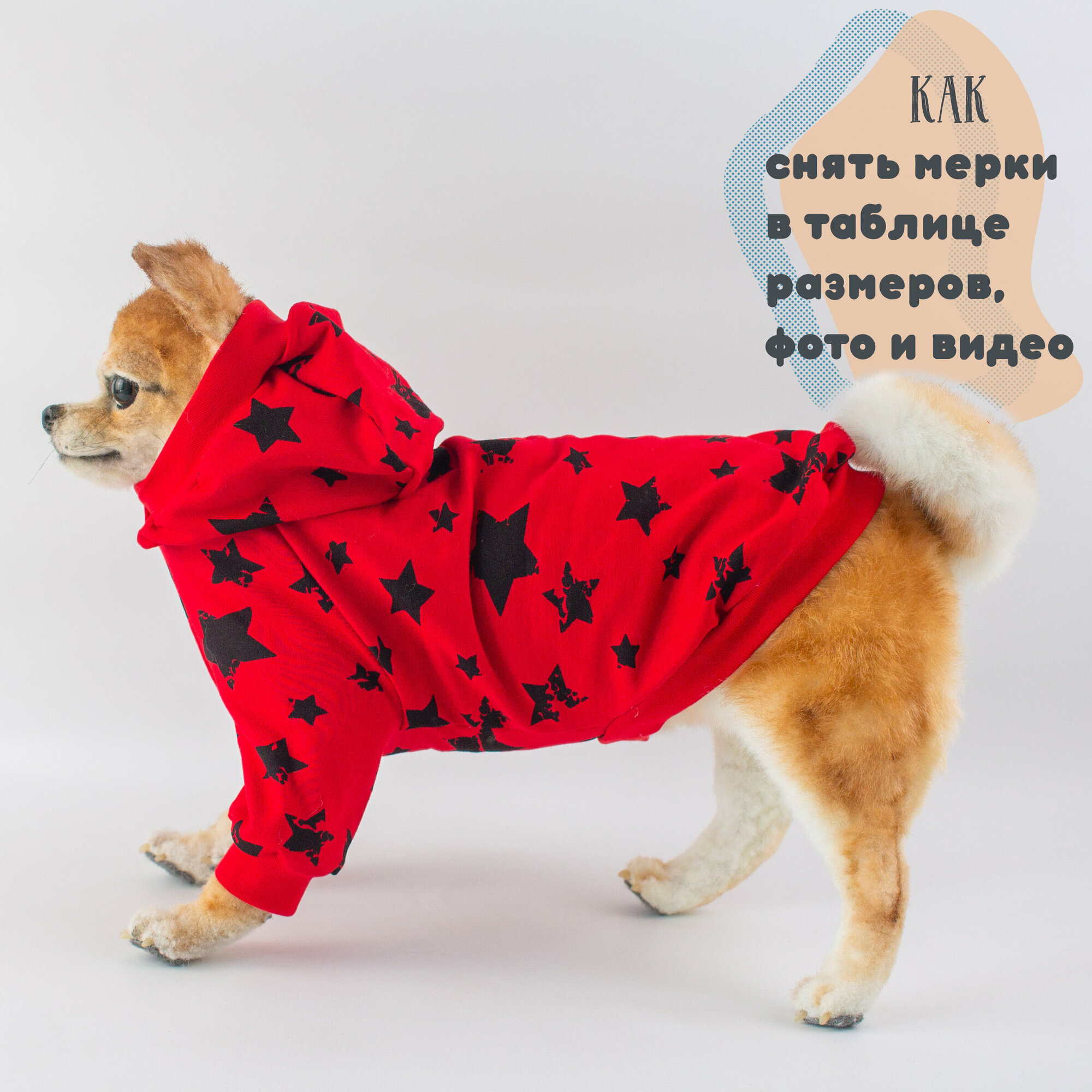 Одежда для собак Элегантный Кот, кофта Яркие Звёзды, размер XXL - фотография № 8