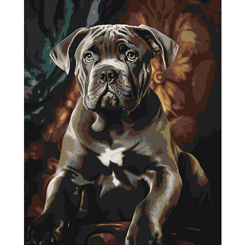 Картина по номерам Собака Кане корсо щенок в кресле 40x50