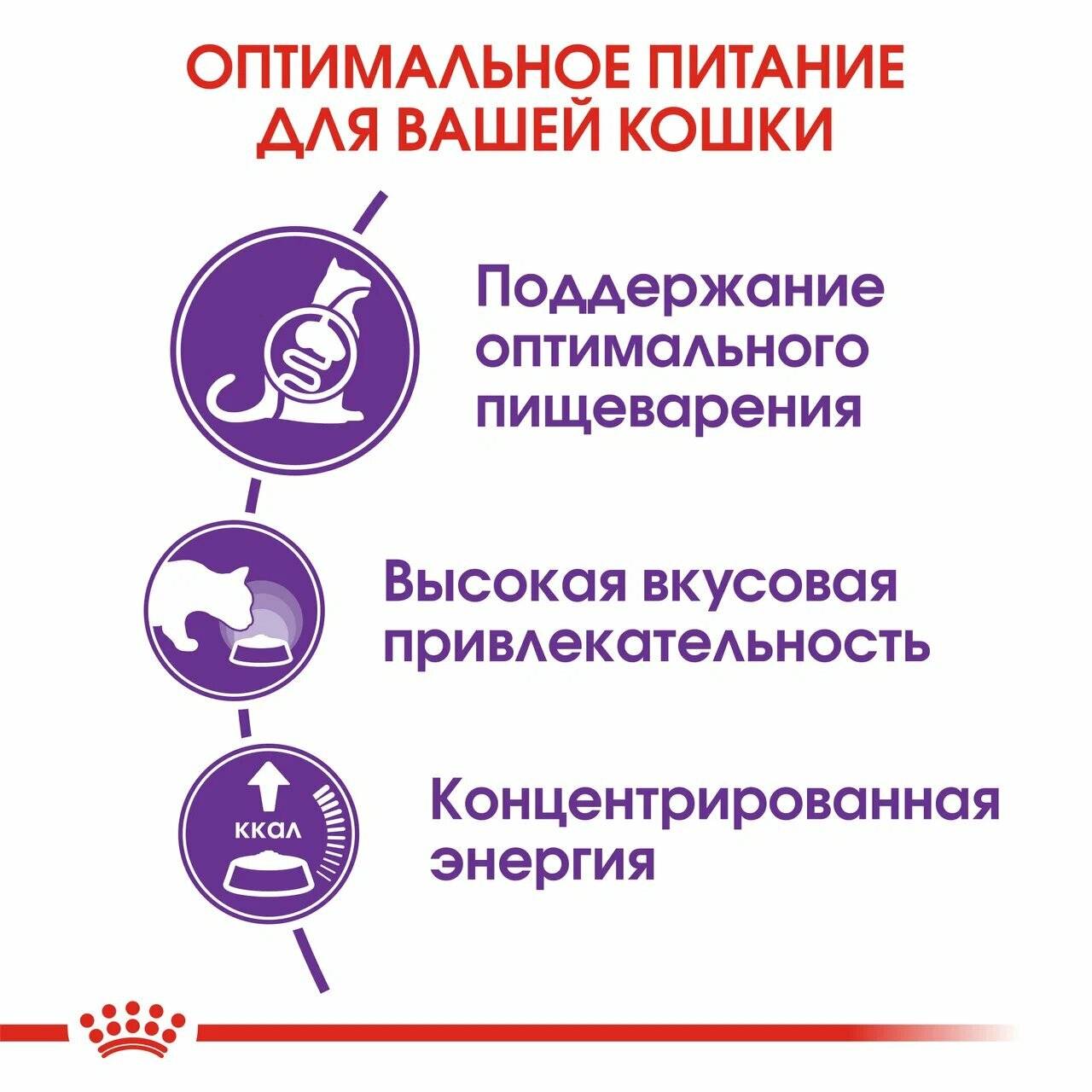 Корм для взрослых кошек с чувствительной пищеварительной системой Royal Canin Sensible 33 (Сенсибл 33) сухой сбалансированный, 0,4 кг