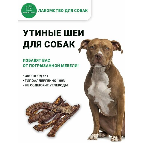 Шеи утиные для собак