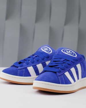Adidas campus shop high tops