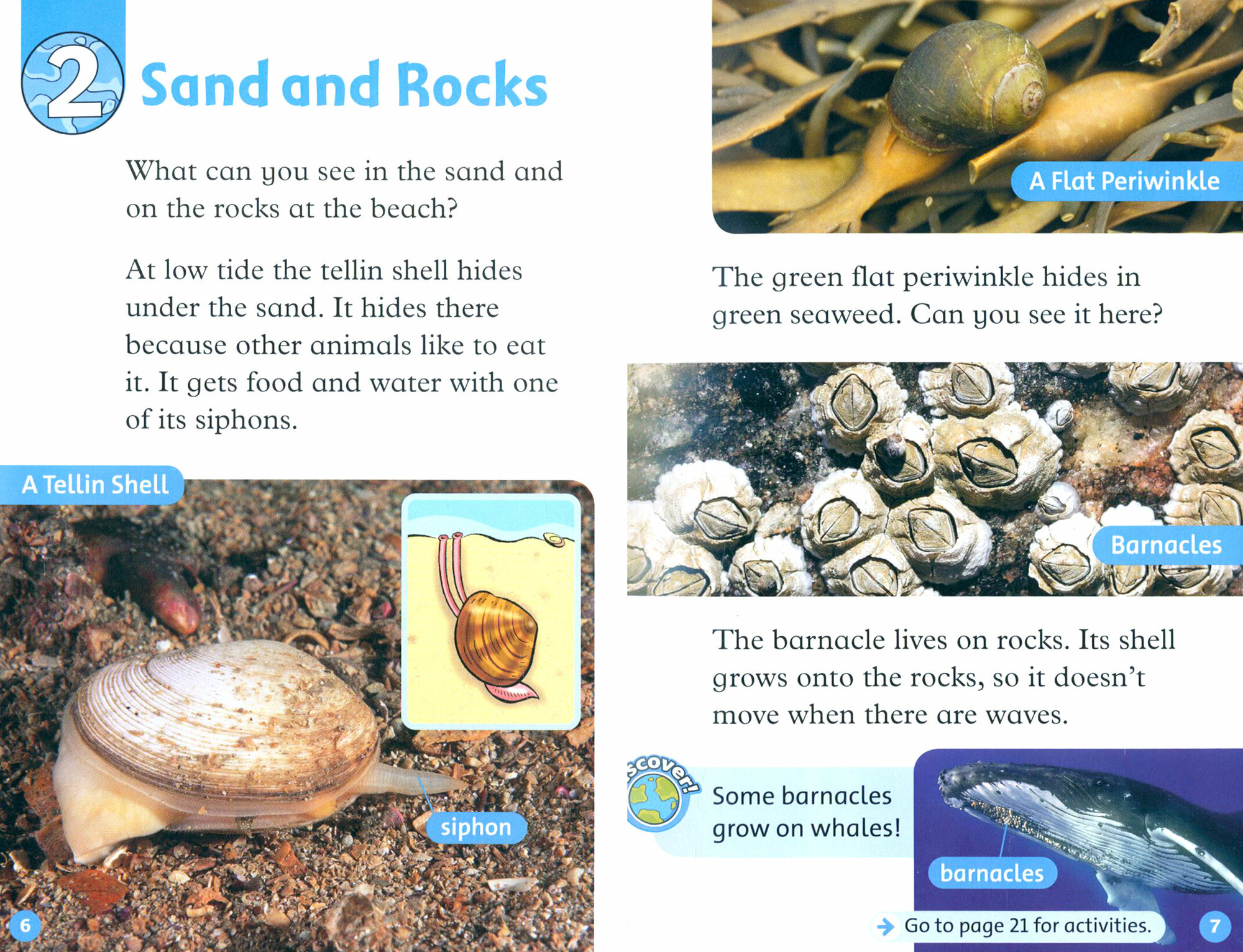 Oxford Read and Discover. Level 1. At the Beach - фото №5