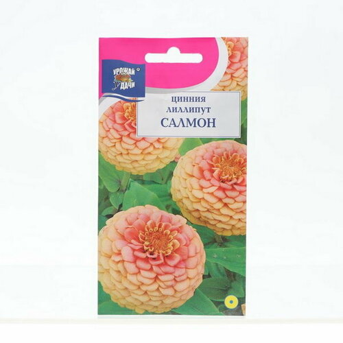 Семена цветов Цинния Лиллипут Салмон, 0.3 г семена цинния салмон роуз 3 упаковки 2 подарка