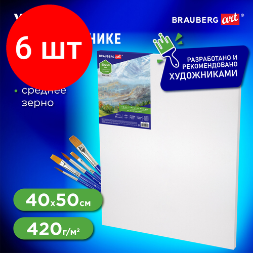 Комплект 6 шт, Холст на подрамнике BRAUBERG ART CLASSIC, 40х50см, грунт, 45%хлоп, 55%лен, среднее зерно, 190636