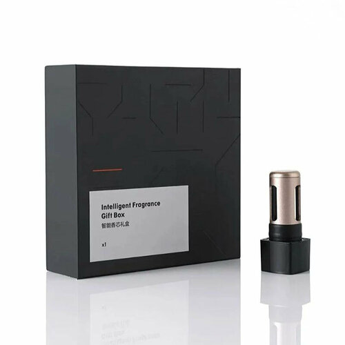 Арома-картридж для Zeekr X Снег в Хельсинки