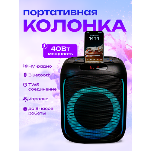 Портативная блютуз колонка с функцией караоке HOLLEBERG HX-L32 859900₽