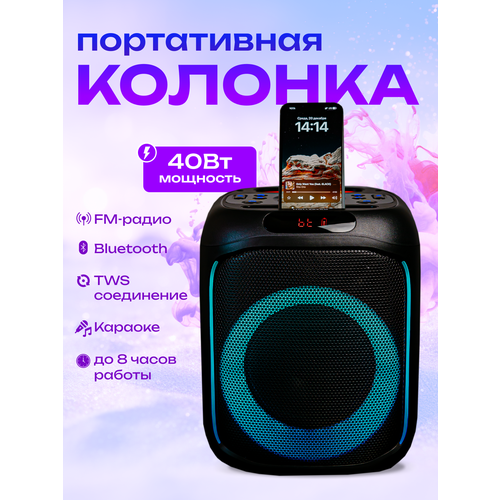 Портативная блютуз колонка с функцией караоке HOLLEBERG HX-L32