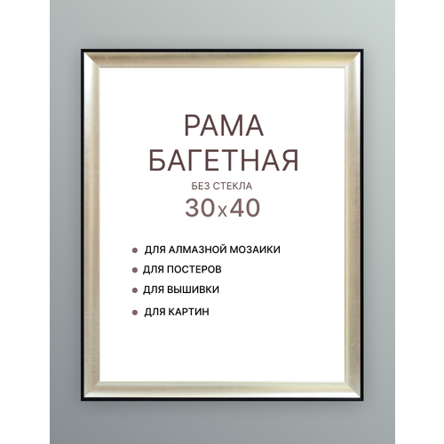 Багетная рама для картин 30х40 для картин по номерам на подрамнике холсте 30 на 40 вышивки рисунка алмазной мозаики