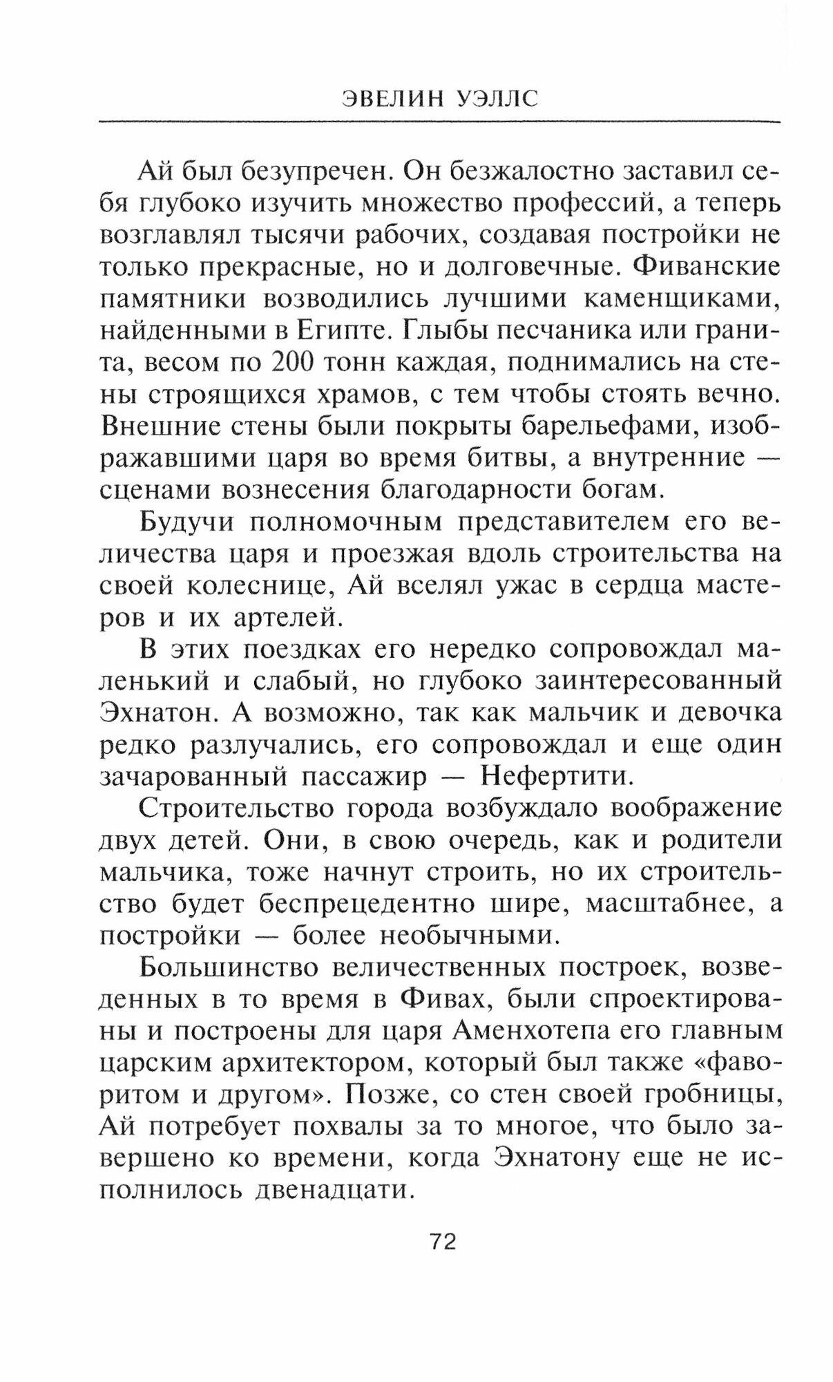 Книга Нефертити. Повелительница Двух Земель - фото №2