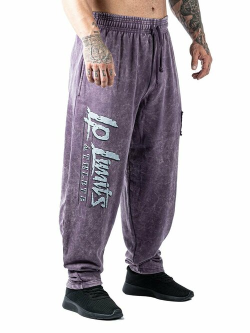 брюки Legal Power, размер 3XL, фиолетовый
