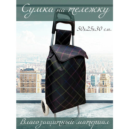 фото Сумка дорожная 87743 клетка, 30 л, 25х50х30 см, ручная кладь, черный эвайкейс