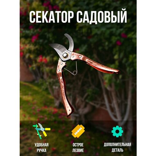 Секатор садовый сталь профессиональный для сада и огорода 680₽