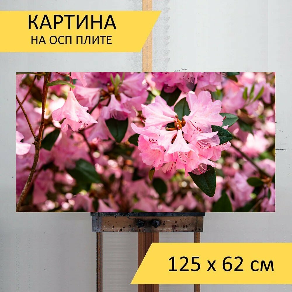 Картина на ОСП 125х62 см. 