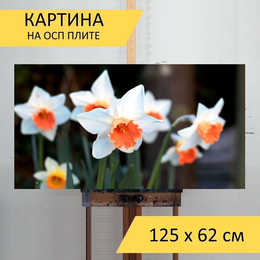 Картина на ОСП 125х62 см. 