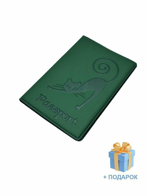 Обложка для паспорта Morelly Grande, зеленый