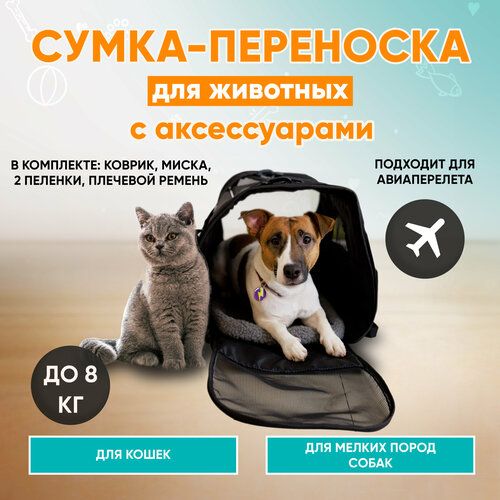 Большая сумка переноска для крупных кошек и собак аксессуары для животных в комплекте