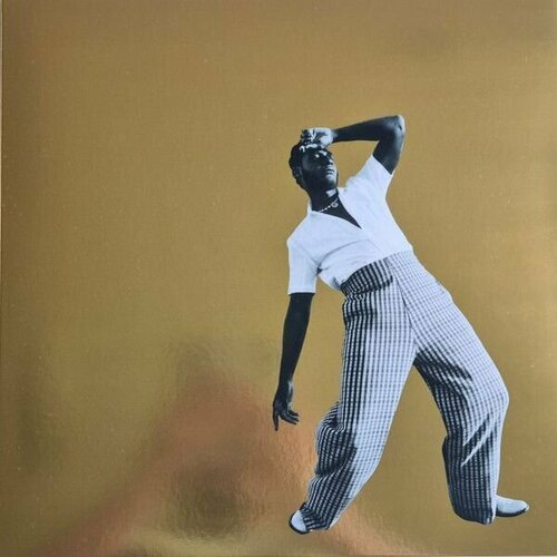 bridges leon виниловая пластинка bridges leon gold diggers sound limited Leon Bridges – Gold-Diggers Sound (Gold Vinyl)