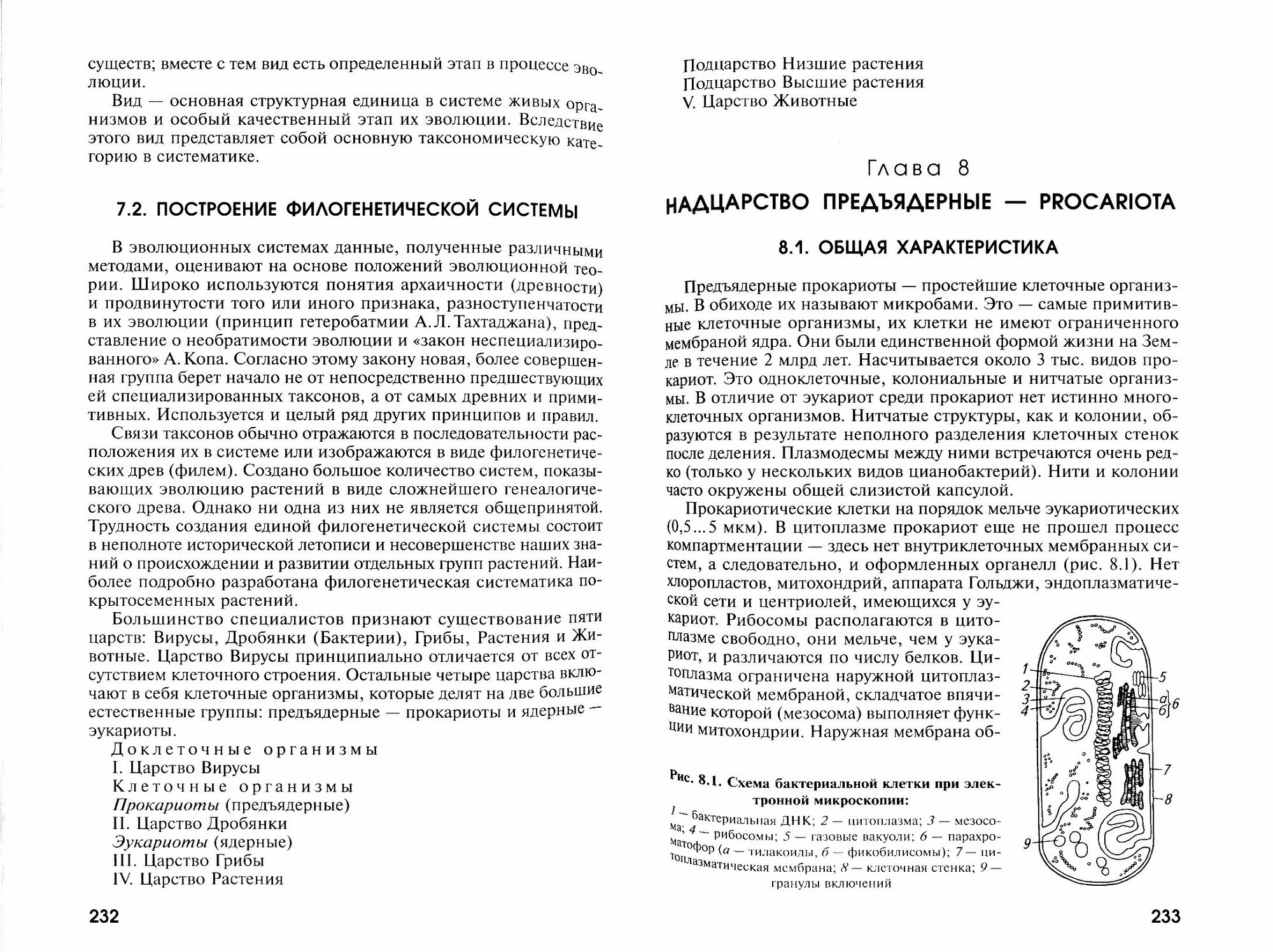 Ботаника. Учебник для вузов (Андреева Ивелена Ивановна, Родман Лара Самуиловна) - фото №2
