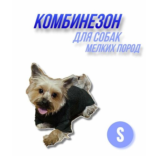 Комбинезон для собак мелких пород