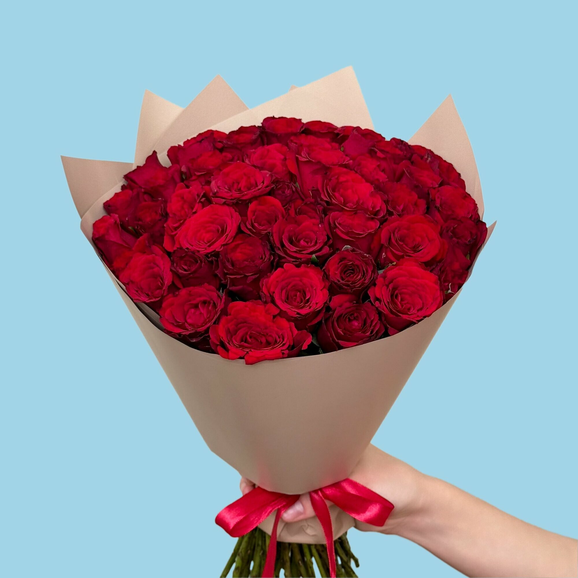 Букет живых цветов из 51 красной розы 35 см в упаковке с доставкой