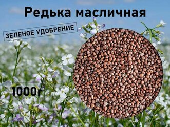 Сидераты семена трава редька масличная 1 кг